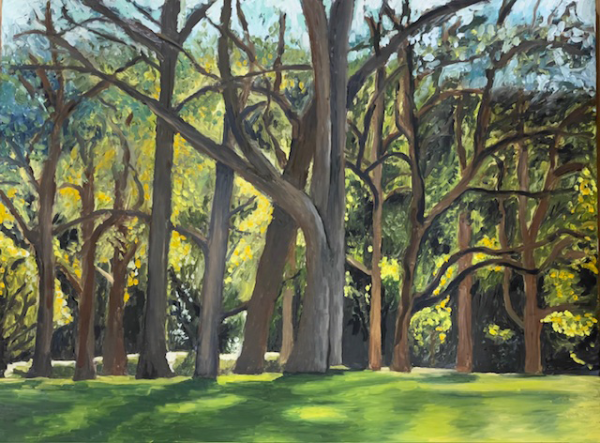 Painting of a stand of large trees on green sunlit grass with a background of tangled foliage